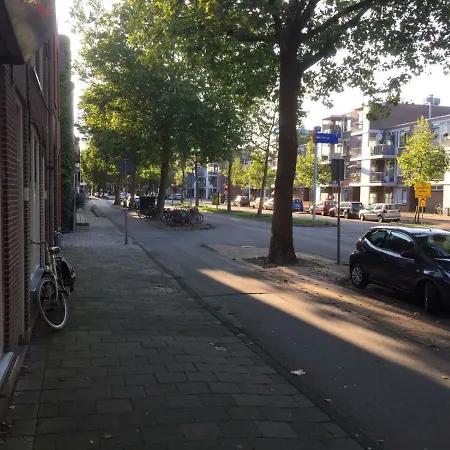 Central Leiden